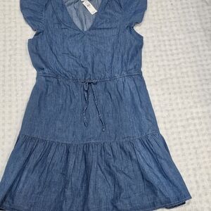 GAP Casual Blue Kids Dress
